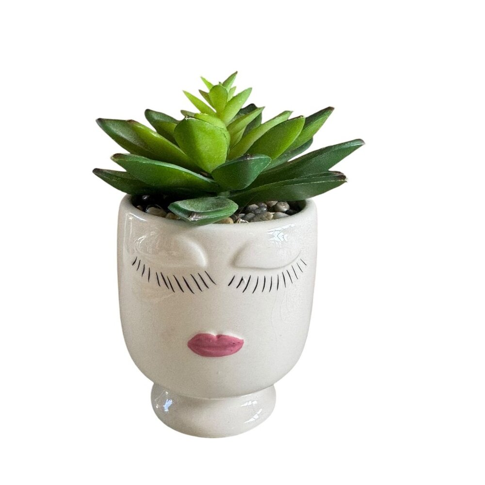 Ceramic Face Planter With Artificial Succulent Plant